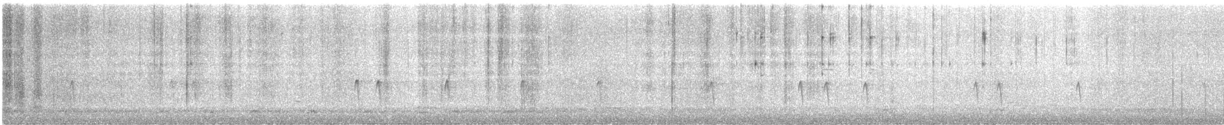 Шишкар ялиновий - ML645440574