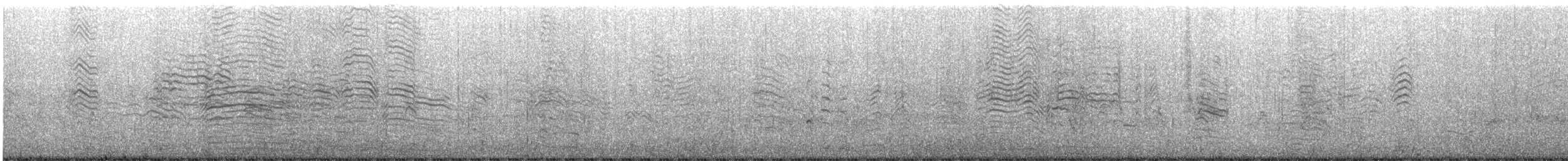 Great Shearwater - ML645440953