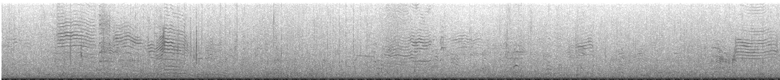 Great Shearwater - ML645440995