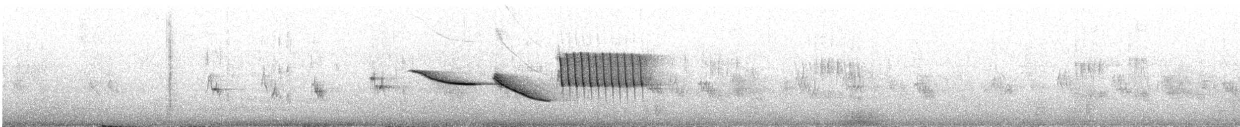 Morgenammer - ML645441067