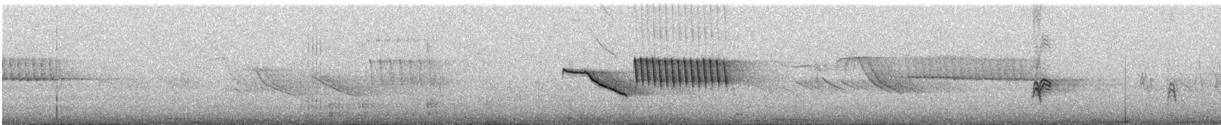 Morgenammer - ML645441069