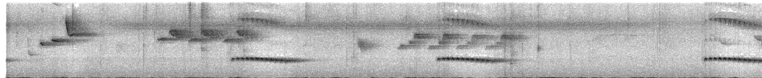 Chestnut-breasted Cuckoo - ML645441122