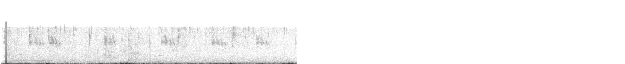 Chochín Criollo Norteño - ML645441279