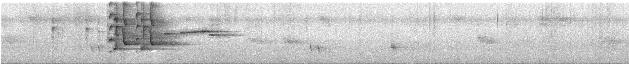 Crescent Honeyeater - ML645441967