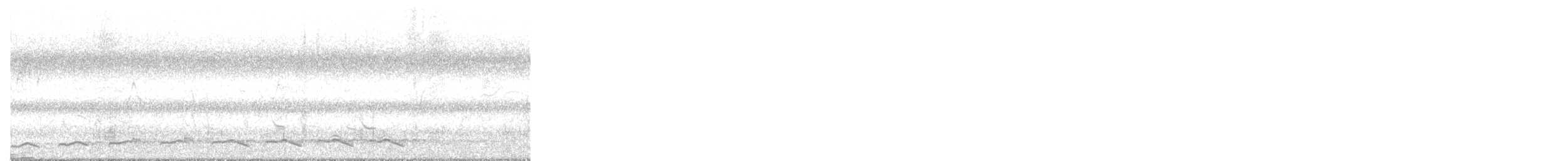 オニカッコウ - ML645443288