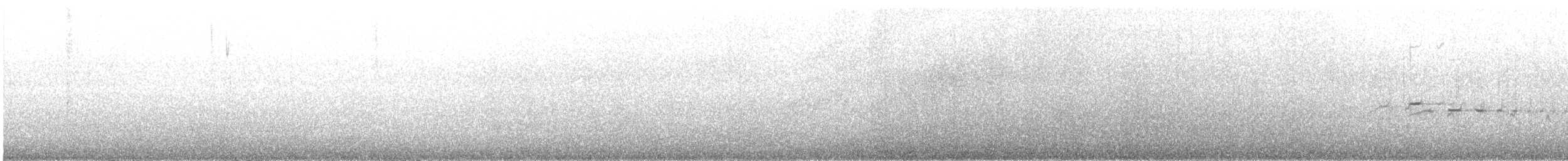 Береговая трясохвостка - ML645443532