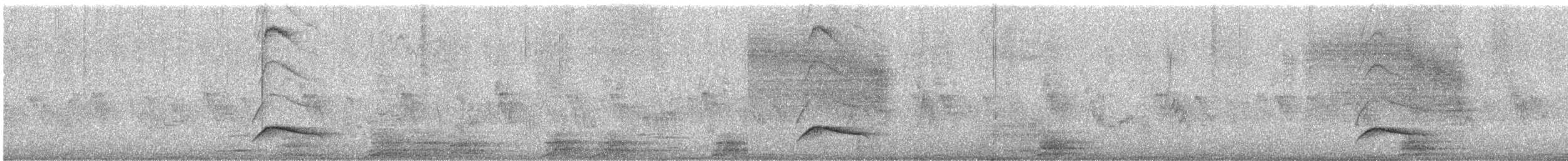 Large Elaenia - ML645443871