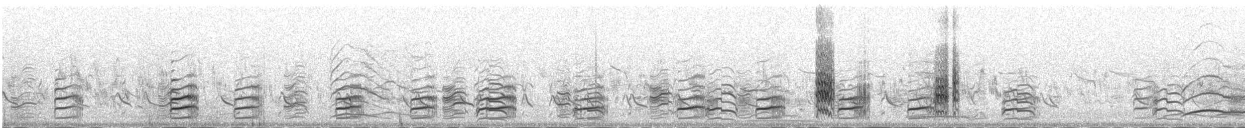 Black-winged Stilt - ML645443919