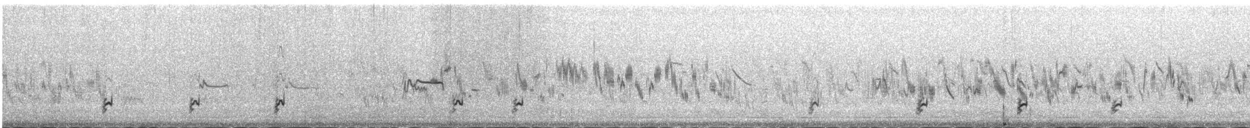 Pied Avocet - ML645443928