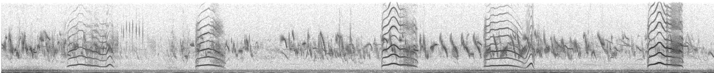 Northern Lapwing - ML645443949