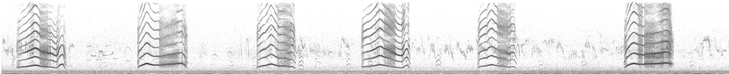 Northern Lapwing - ML645443950