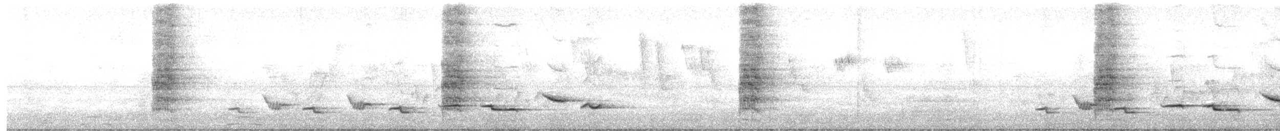 Plain Parakeet - ML645445686