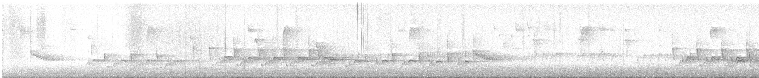 Carolina Wren - ML645445770