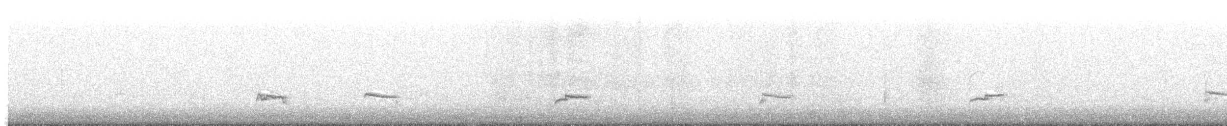 Сивка звичайна - ML645445855