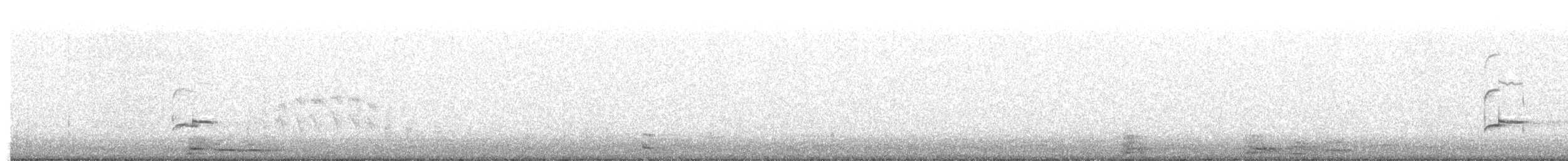 Сивка звичайна - ML645445858