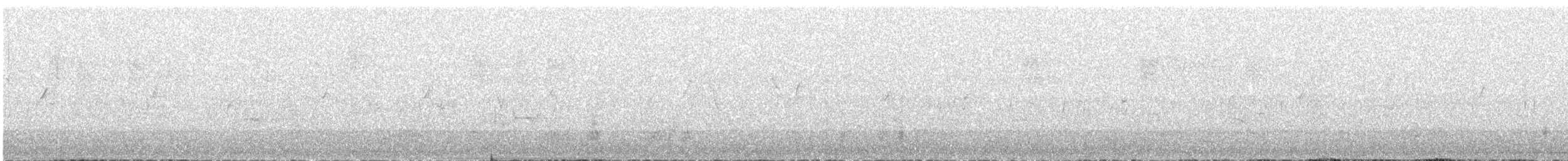 Ánsar Común - ML645445924