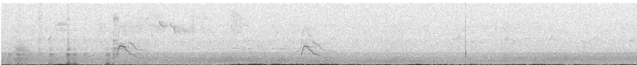 Silbón Europeo - ML645445952