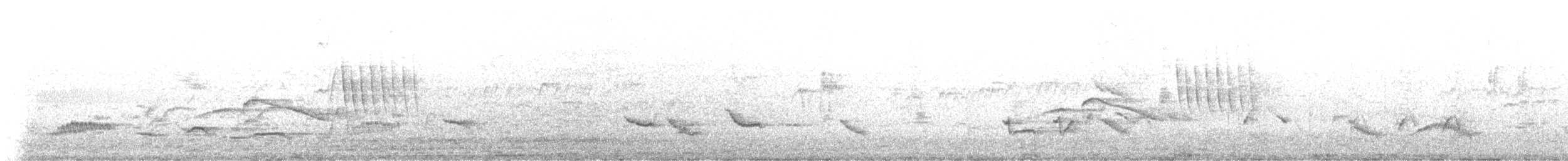 Mirlo Grande - ML645445953