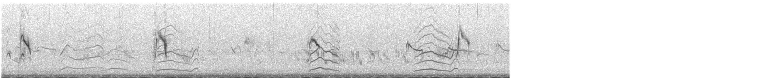 Lavandera de Chukotka (macronyx) - ML645446052