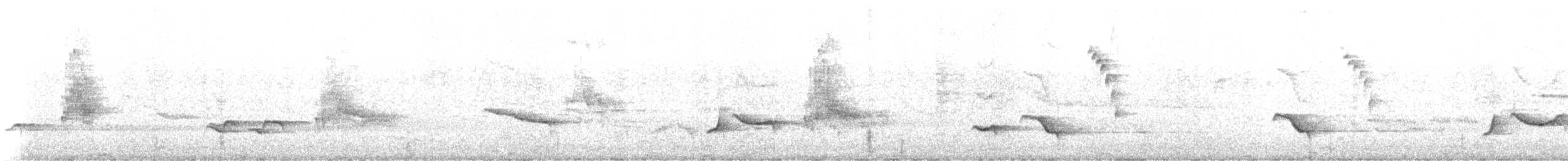 Mirlo Grande - ML645446148