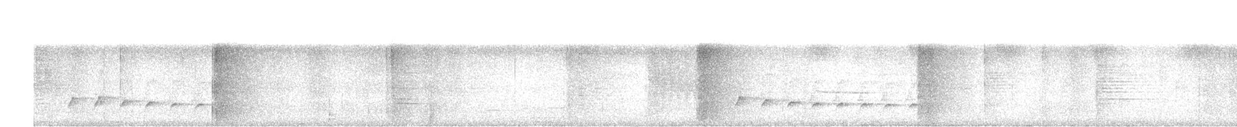 Soterillo Picudo - ML645446272