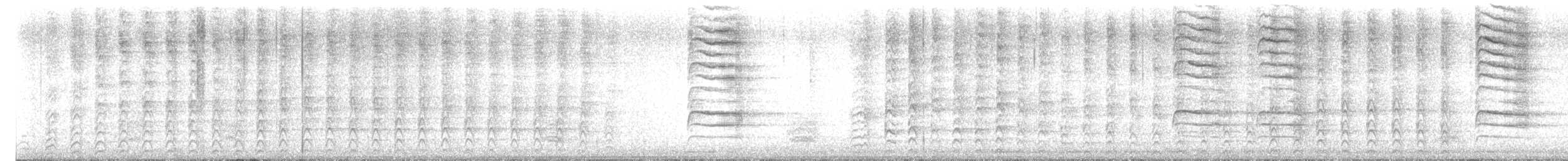 Gavilán de Cooper - ML645446305