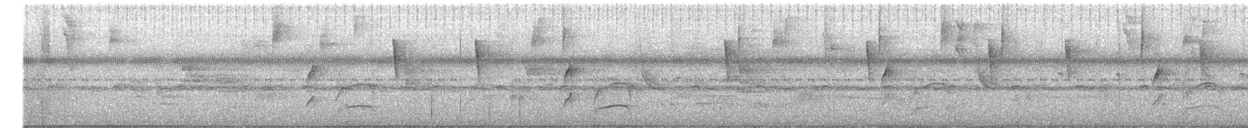 Pijuí Pechiestriado - ML645446386