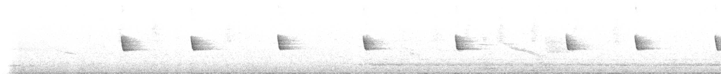 Chingolo Común - ML645446432