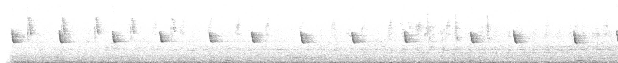 Chingolo Común - ML645446433