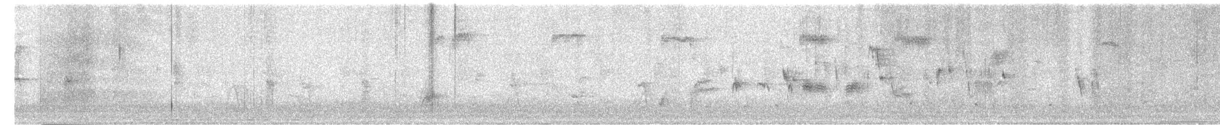 Chingolo Cantor - ML645446575