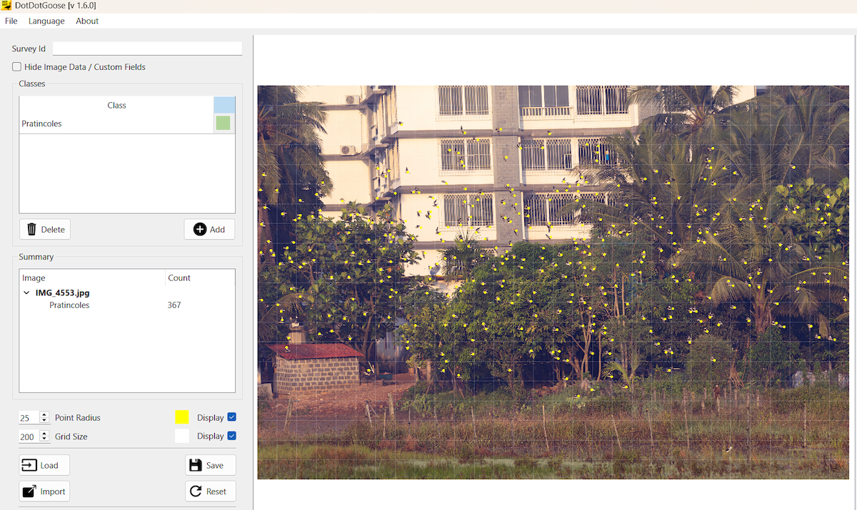 ouhorlík malý - ML645446609