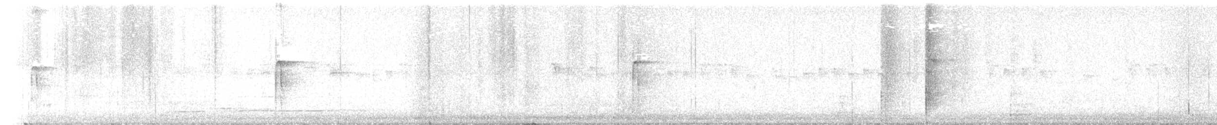 Haarspecht - ML645446916