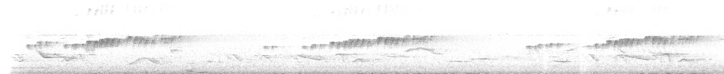 Trauerkönigstyrann - ML645446931