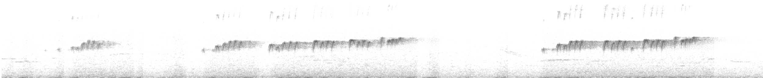 Trauerkönigstyrann - ML645446933