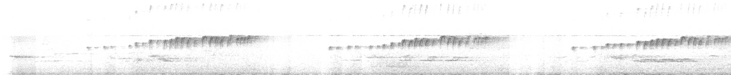 Trauerkönigstyrann - ML645446936