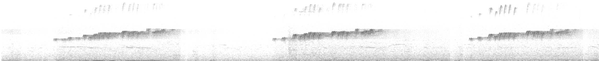 Trauerkönigstyrann - ML645446937