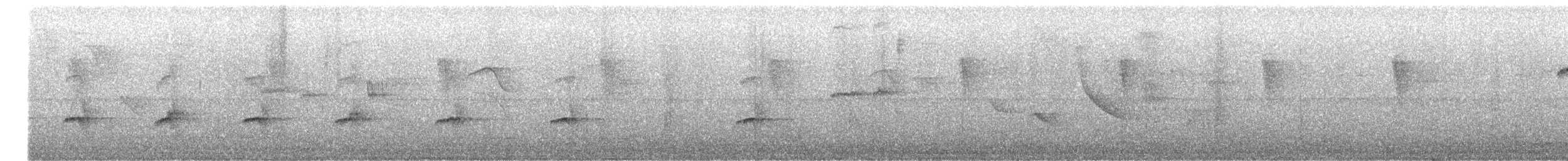 Rotschwanz-Glanzvogel - ML645447138