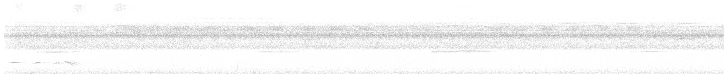 Braunflügel-Ameisenwürger - ML645447193