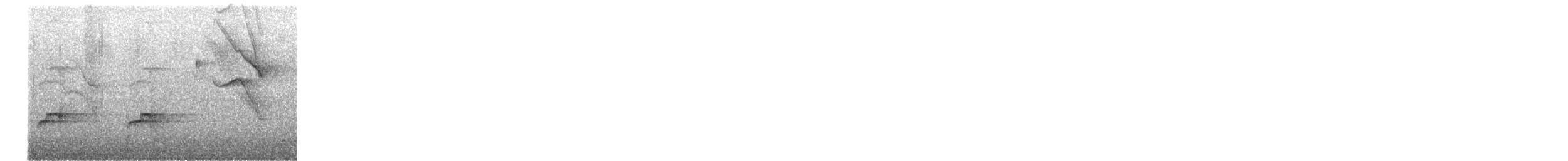 Rotschwanz-Glanzvogel - ML645447228