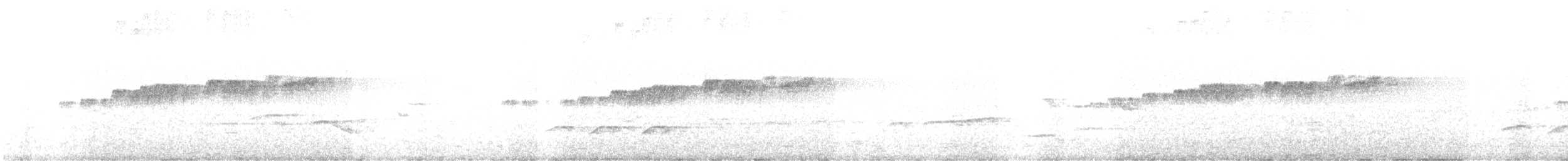 Trauerkönigstyrann - ML645447268