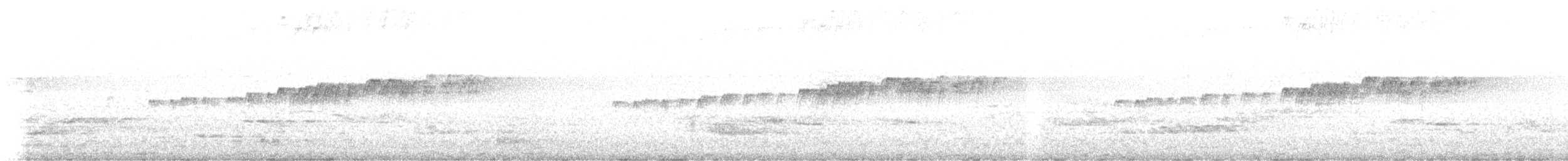 Trauerkönigstyrann - ML645447270