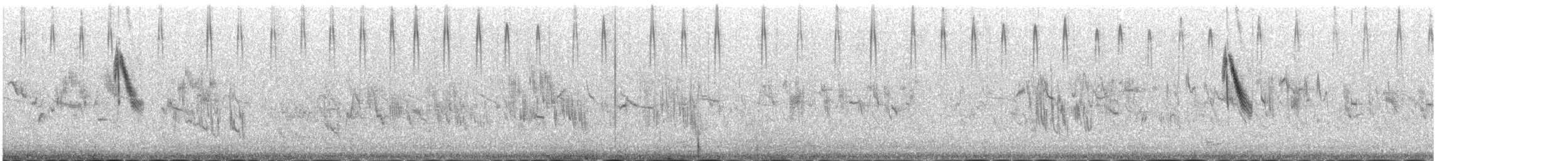 Pallasammer - ML645447289