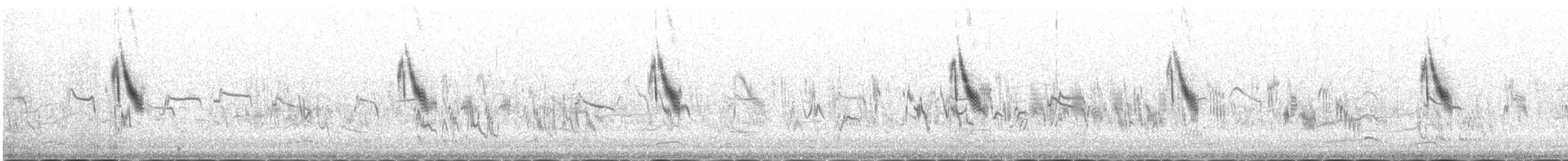 Pallasammer - ML645447290