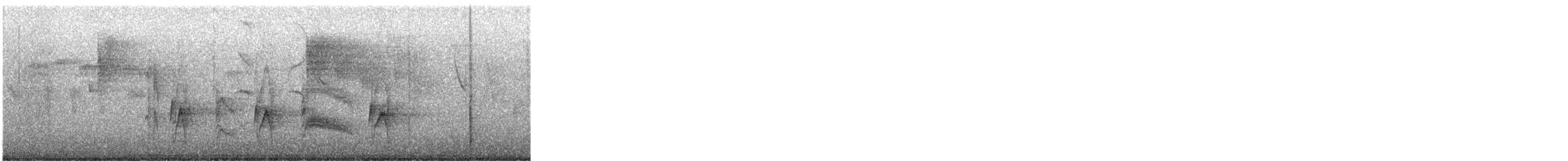 Yellow-bellied Elaenia - ML645447674