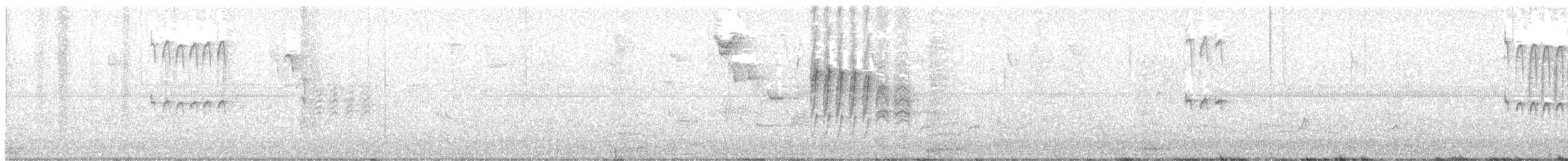 Каролинская гаичка - ML645447878