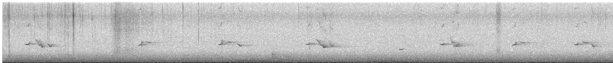 hýl křivčí - ML645448363