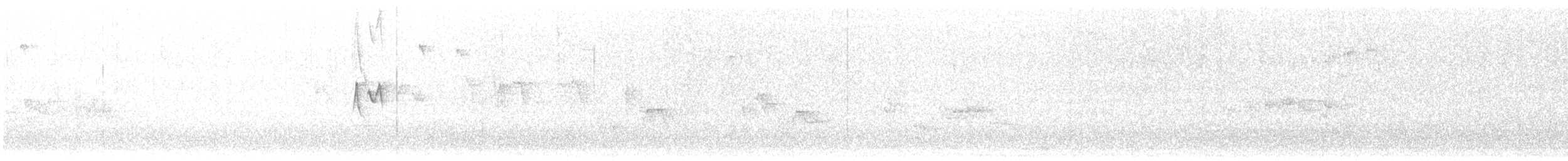 budníček altajský - ML645448547