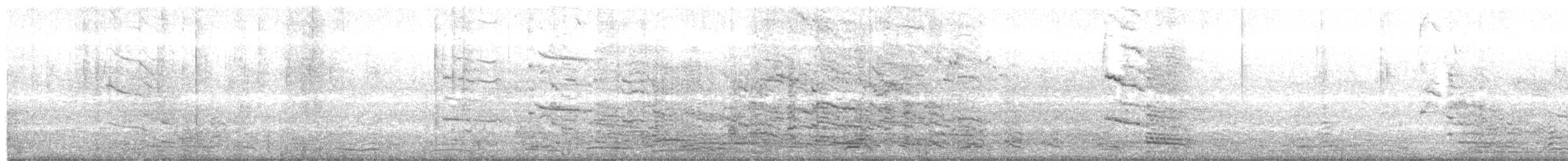 Yellow-legged Gull - ML645448631