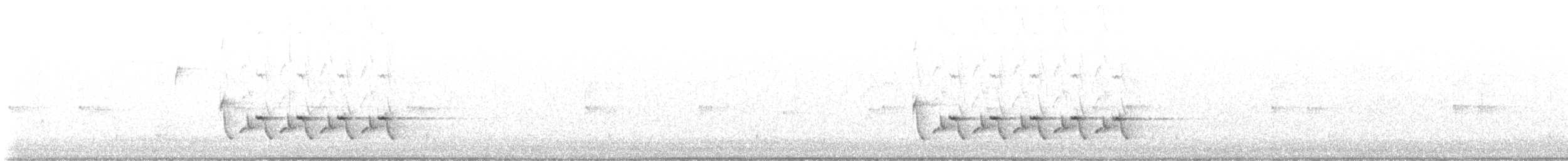 Carolina Wren - ML645449319