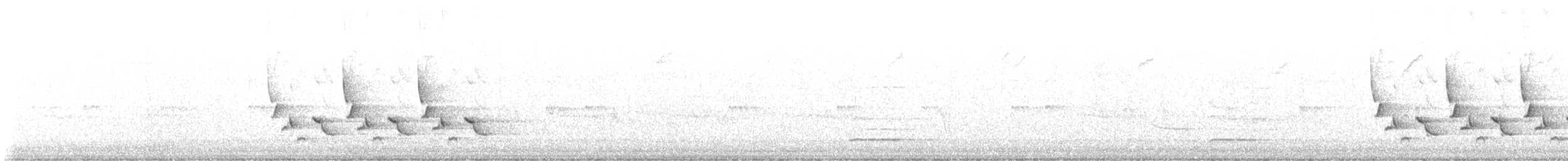 Carolina Wren - ML645449320